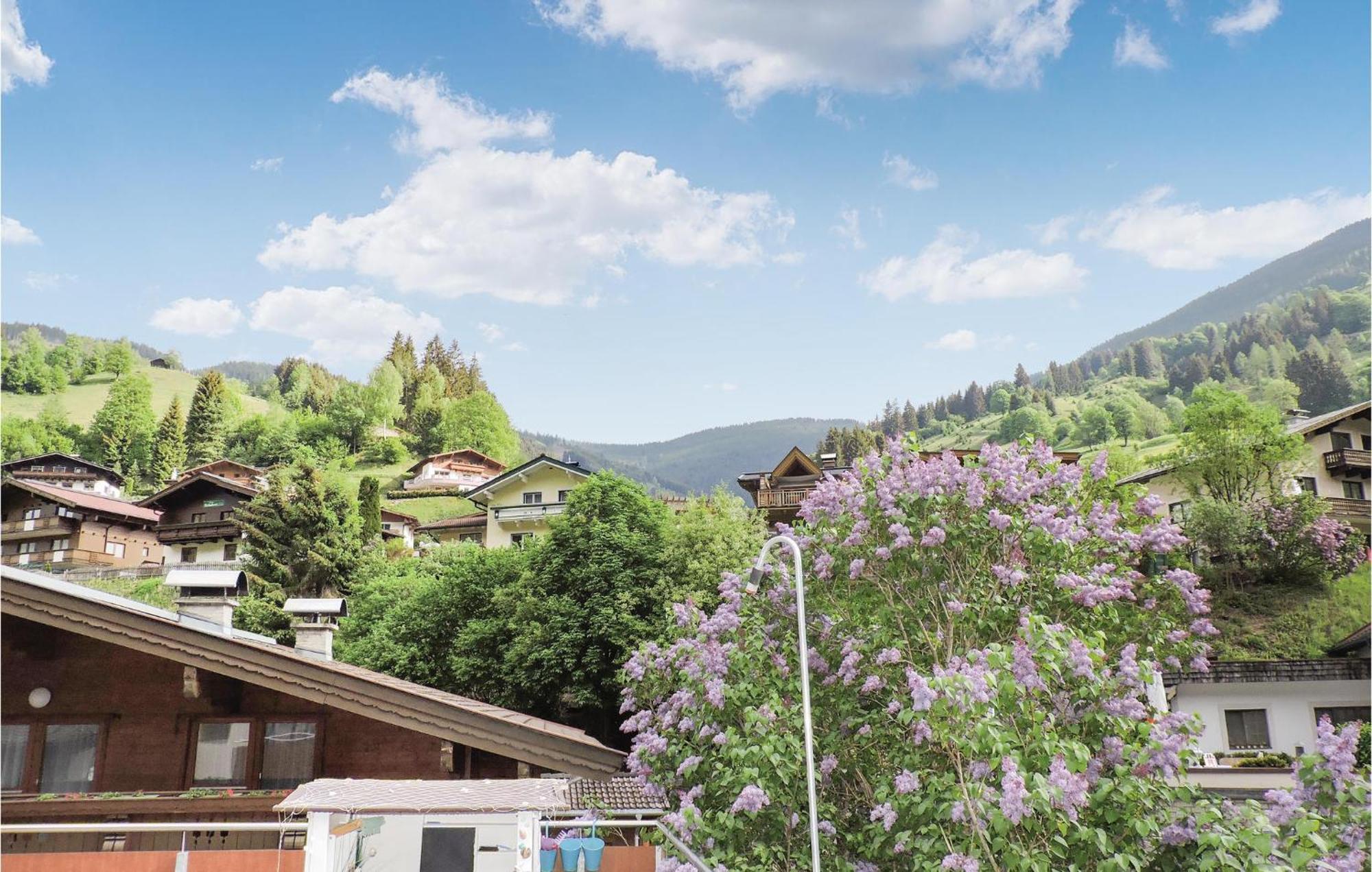 Two-Bedroom Apartment In Viehhofen Exterior photo